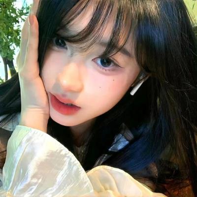 绽放的玫瑰